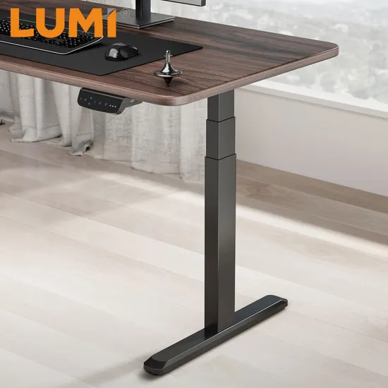 Metal New Nate China Sit Computer Stand up Desk Nt33-E4